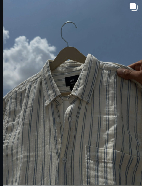 ivory bone stripe